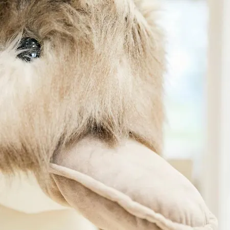 Hillock's Farm Cottage, Luxury